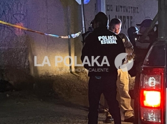 Embolsado  y Descongelado